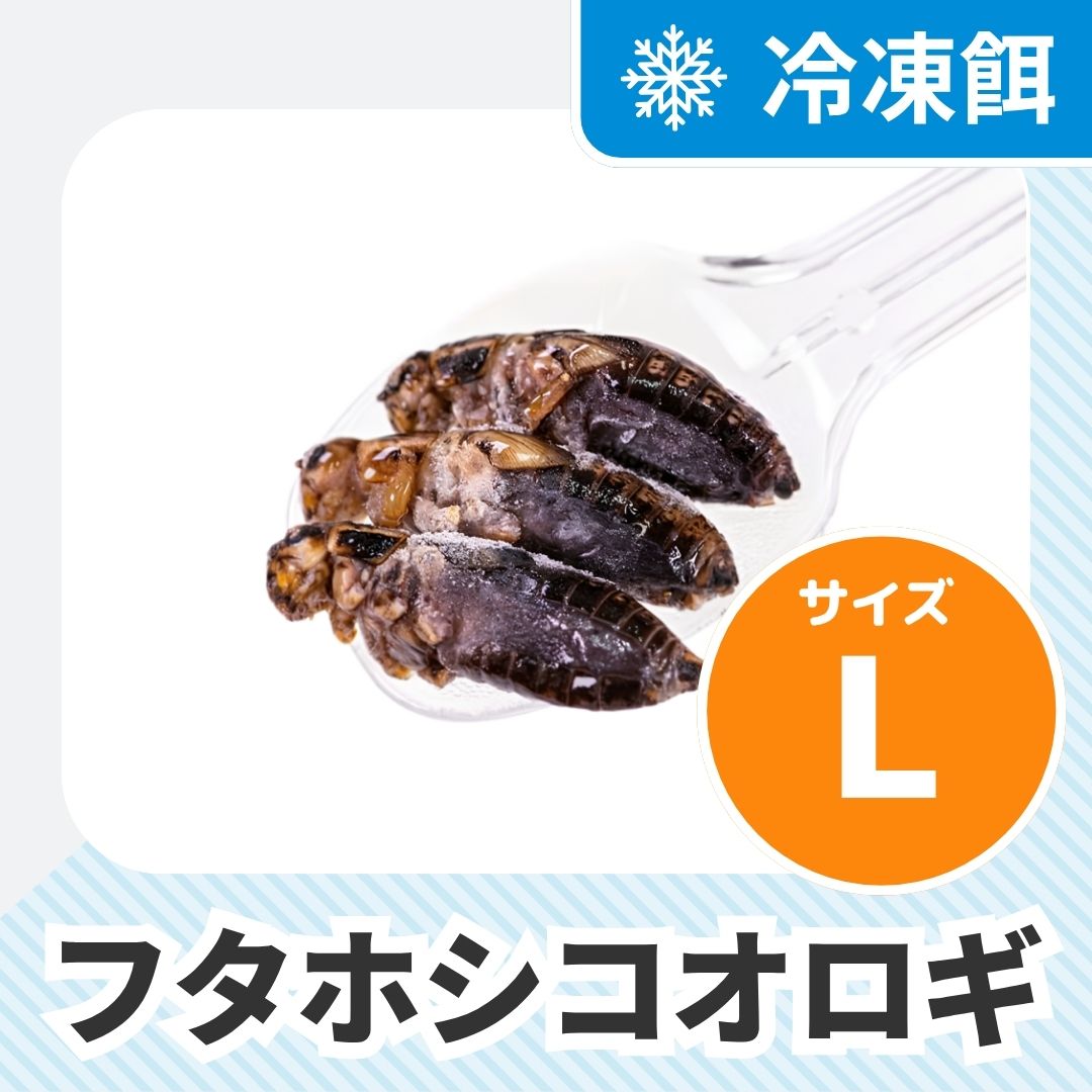 冷凍餌 フタホシコオロギ Ml 100ｇ 月夜野ファームの通販