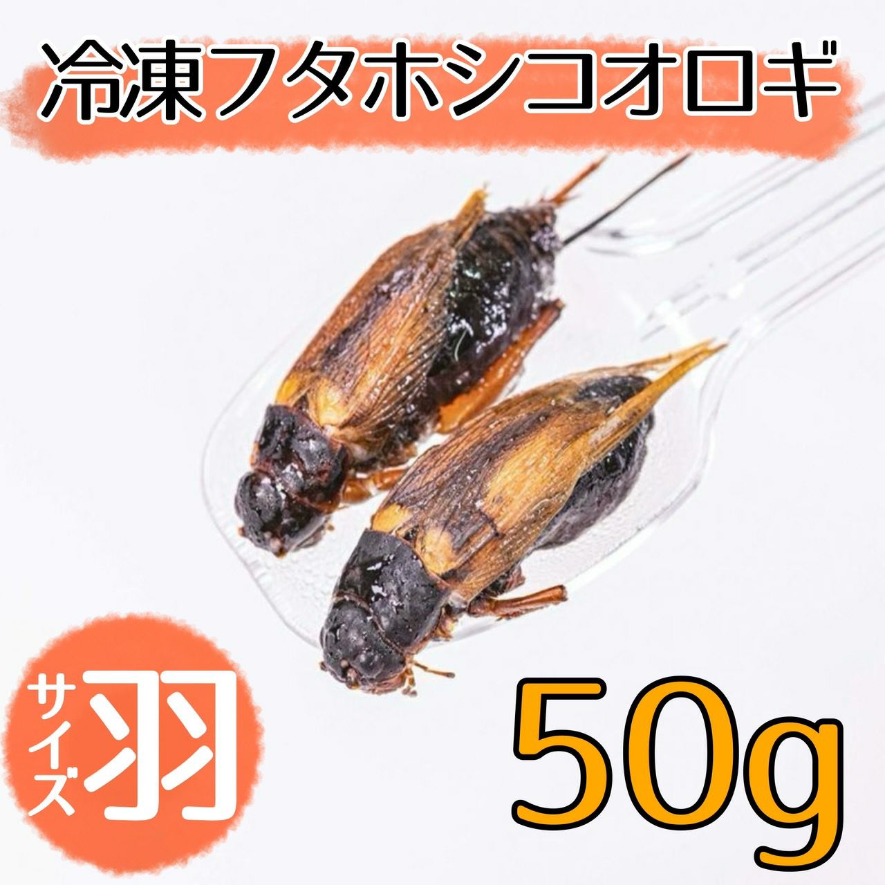 冷凍餌 フタホシコオロギ L 100ｇ 月夜野ファームの通販