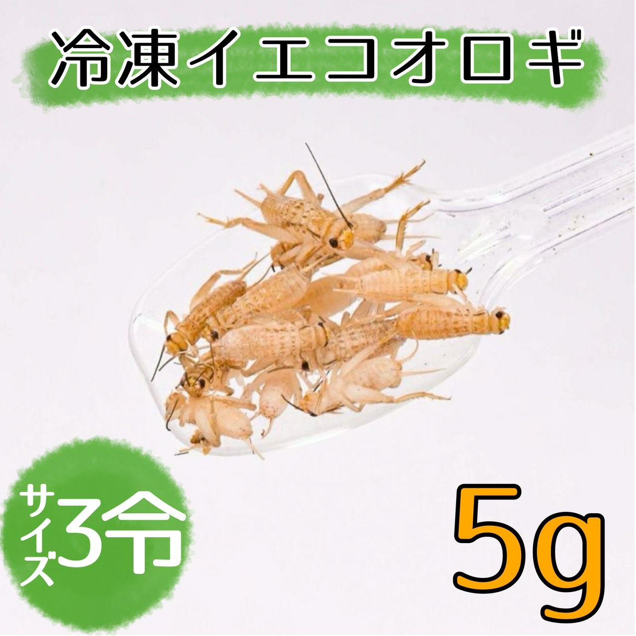 NEW【冷凍餌】イエコオロギ 3令 5g | 月夜野ファームの通販