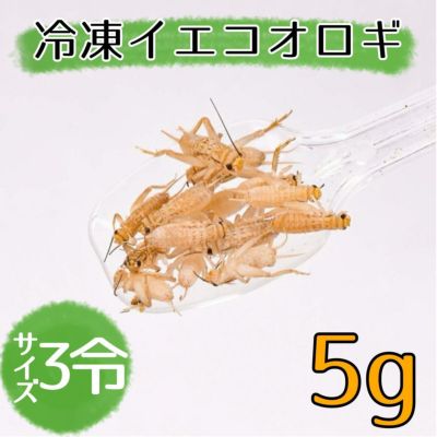 冷凍コオロギ | 月夜野ファームの通販