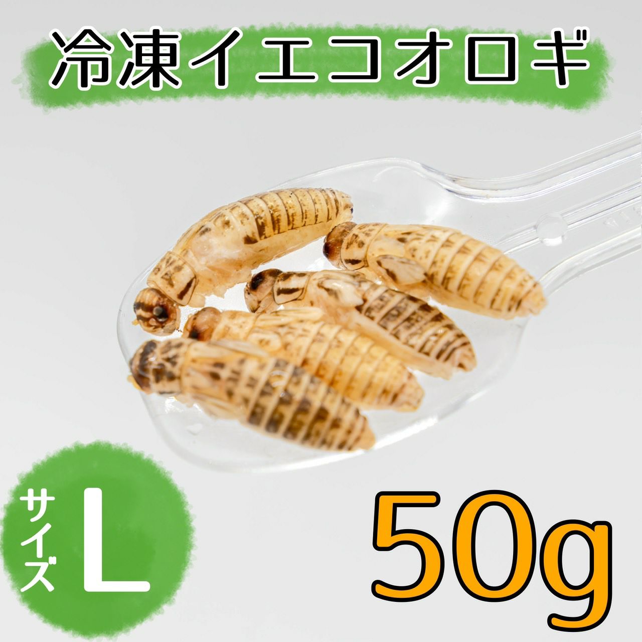 NEW【冷凍餌】イエコオロギ L 50g | 月夜野ファームの通販
