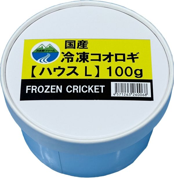 100g  冷凍コオロギ　L
