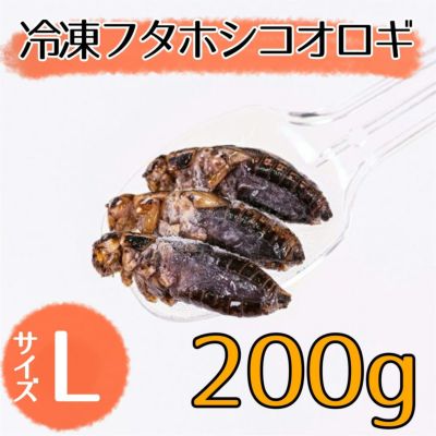 冷凍餌】フタホシコオロギ ML 150g | 月夜野ファームの通販