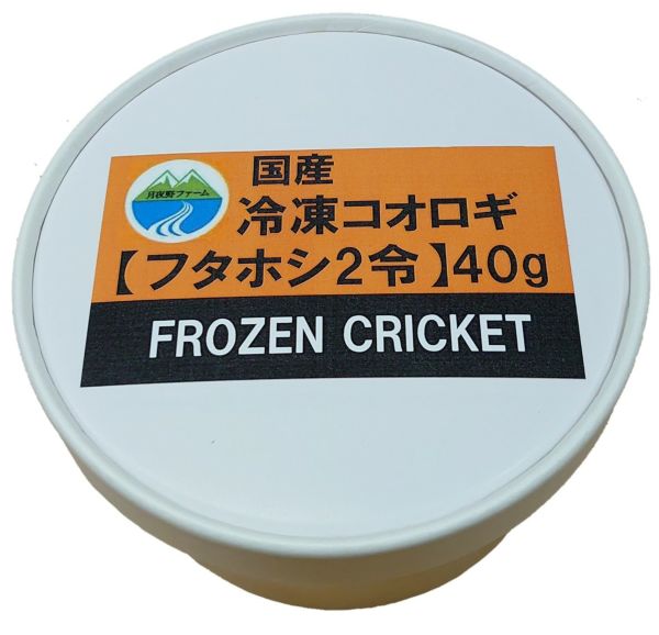 北陸中部関西中国四国地方の方 冷凍コオロギ1kg M・Lサイズ