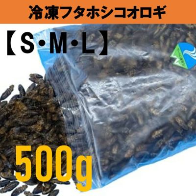 冷凍】フタホシコオロギ | 月夜野ファームの通販