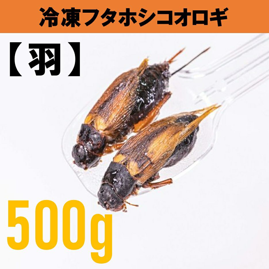 冷凍コオロギ Lサイズ 下ろ 4.4kg 爬虫類 両生類 小動物 アロワナ 
