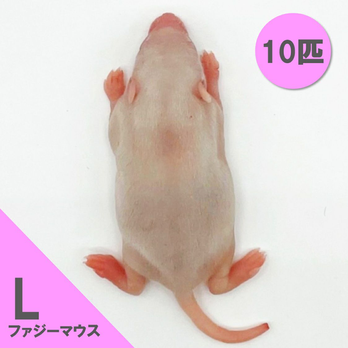 冷凍餌】ファジーマウス L 10匹 | 月夜野ファームの通販