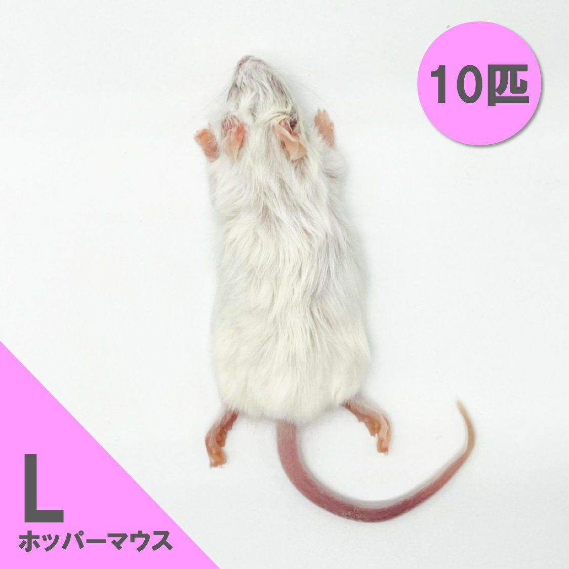 冷凍餌】ホッパーマウス L 10匹入 | 月夜野ファームの通販
